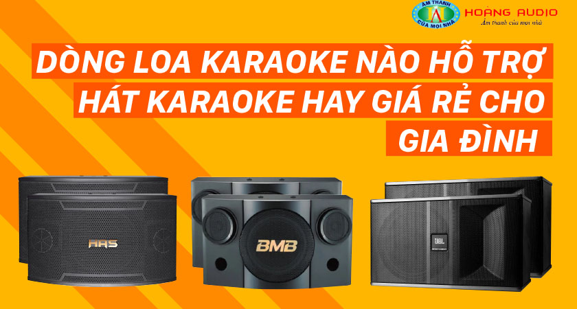 Dòng loa karaoke nào hỗ trợ hát karaoke hay giá rẻ cho gia đình