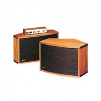 Loa Bose 901 series IV