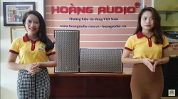 Dòng Loa karaoke chuyên nghiệp [DK B10L] gia đình kinh doanh giá rẻ