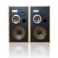 Loa Pioneer T5