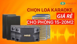Chọn loa karaoke nào hay giá rẻ cho phòng 15 đến 20m2