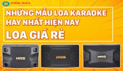 TOP 5 Loa Giá Rẻ Hát Karaoke Hay Cho Gia Đình 2022
