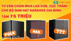 Tư vấn chọn mua loa Sub, cục trầm cho bộ dàn hát karaoke gia đình