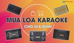 Tư vấn Cách chọn mua loa karaoke gia đình