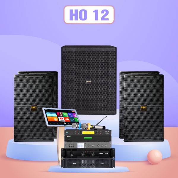 Dàn karaoke cao cấp HO 12