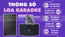 Tìm hiểu về thông số của Loa karaoke từ A-Z