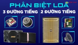 Phân biệt loa karaoke 2 đường tiếng, 3 đường tiếng? Nên chọn loại nào?